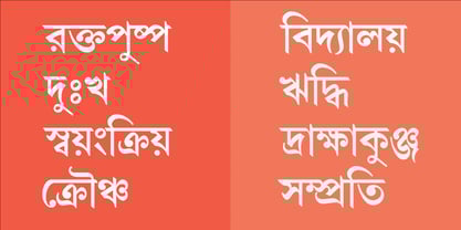 Shree Bangali 0550 Font Poster 3