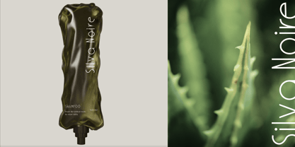 Exonex Font Poster 7