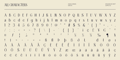 Ansela Drawn Font Poster 6