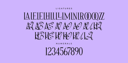 Las Hustle Font Poster 8