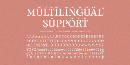 Monaya Font Poster 14