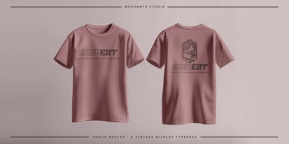 Goose Buster Font Poster 4