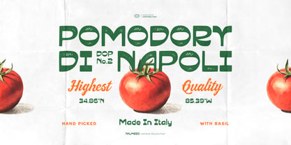 Palmero Font Poster 2