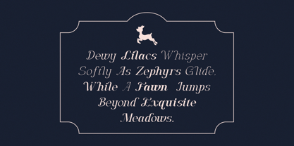 Algra Molta Font Poster 2