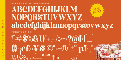 Roman Magicel Font Poster 14