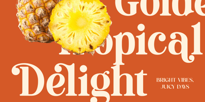 Roman Magicel Font Poster 6