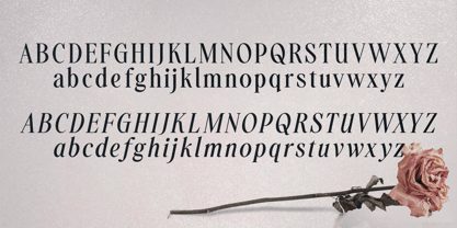 Pamuhatan Font Poster 5