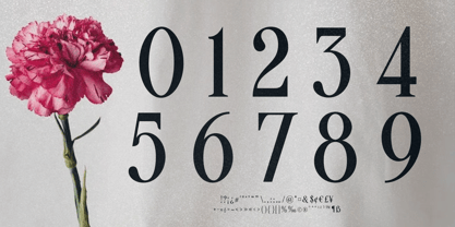 Pamuhatan Font Poster 4