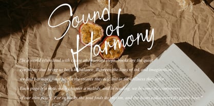 Harmonicallity Unleashed Font Poster 8