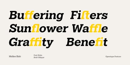 Midles Slab Font Poster 4