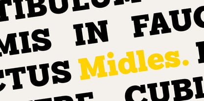 Midles Slab Font Poster 11
