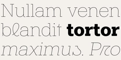 Midles Slab Font Poster 5