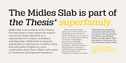 Midles Slab Font Poster 12