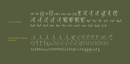 Beauty Sungold Font Poster 8