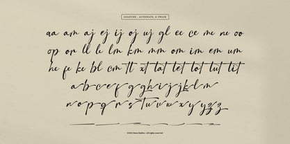 Darajat High Font Poster 12