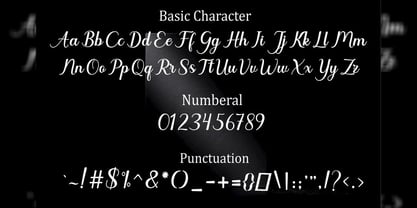 Bridgestone Modern Font Poster 6
