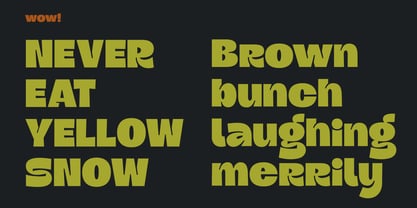 Grongert Font Poster 3