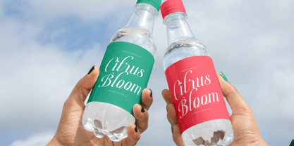 Berishye Font Poster 7