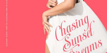 Berishye Font Poster 2