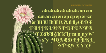 Repag Bayoe Font Poster 14