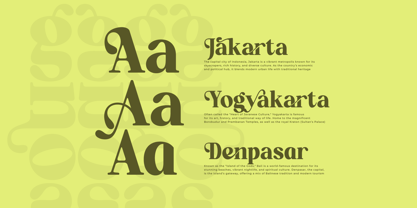 Repag Bayoe Font Poster 12