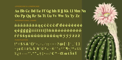 Repag Bayoe Font Poster 15