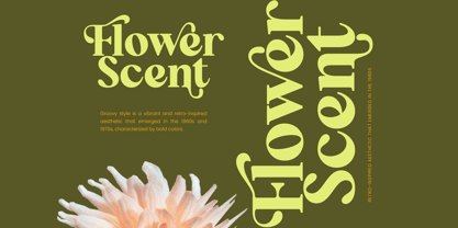 Repag Bayoe Font Poster 3