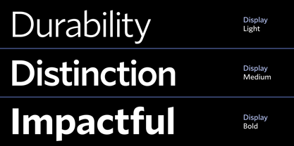 Forley Variable Font Poster 6