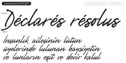 TT Gentlemens Font Poster 8