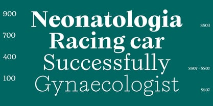 Seraphine Font Poster 15