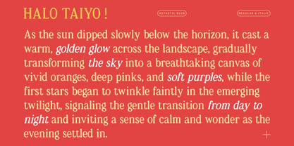 Asthetic Blur Font Poster 2