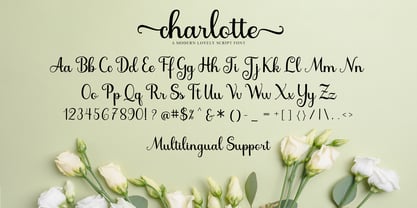 Charlotte Modern Font Poster 6