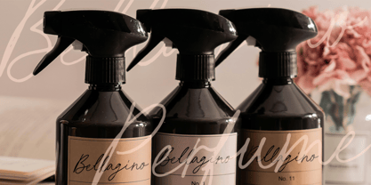 Les Romantic Font Poster 6