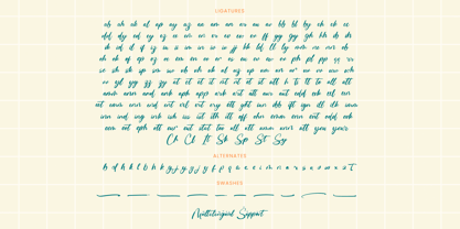 Junction Pathline Font Poster 15