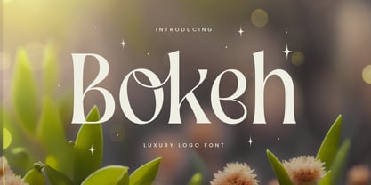 Bokeh Font Poster 1