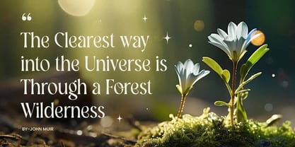 Bokeh Font Poster 2