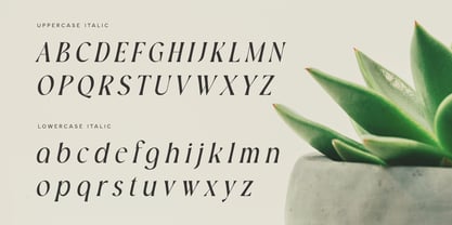 Bokeh Font Poster 10