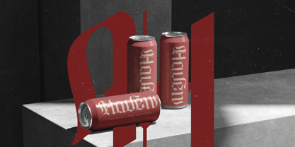 Lionkin Font Poster 12