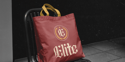 Lionkin Font Poster 5