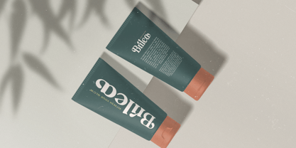 Builds Haven Font Poster 9