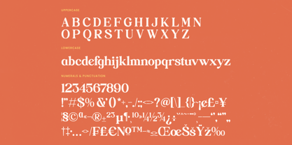 Builds Haven Font Poster 14