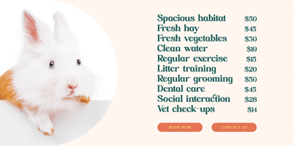 Builds Haven Font Poster 11