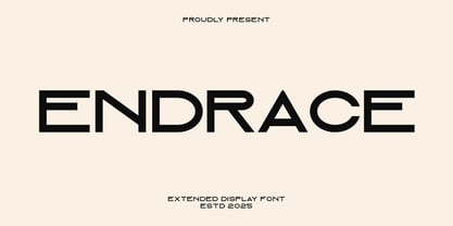 Endrace Font Poster 1