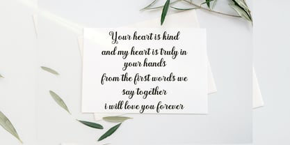 Hillany Script Font Poster 2