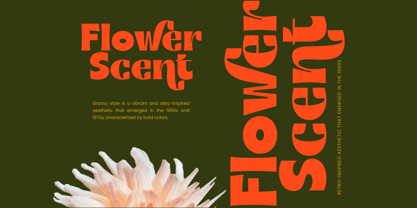 Bague Scout Font Poster 13