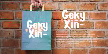 Geky Xin Font Poster 6