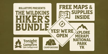 RT Wildkins Font Poster 2