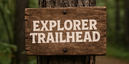 RT Wildkins Font Poster 4