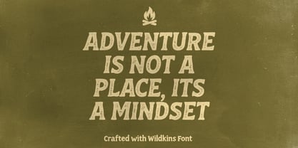 RT Wildkins Font Poster 6