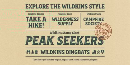 RT Wildkins Font Poster 3